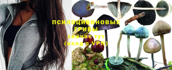 кокаин VHQ Алексин