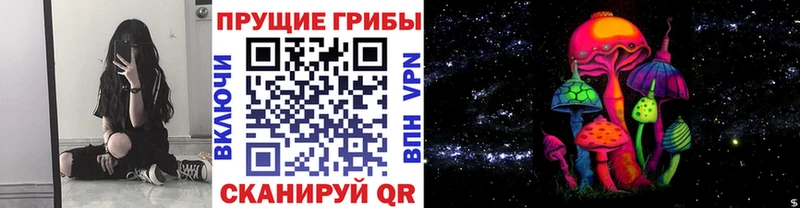 Псилоцибиновые грибы GOLDEN TEACHER  Волжский 