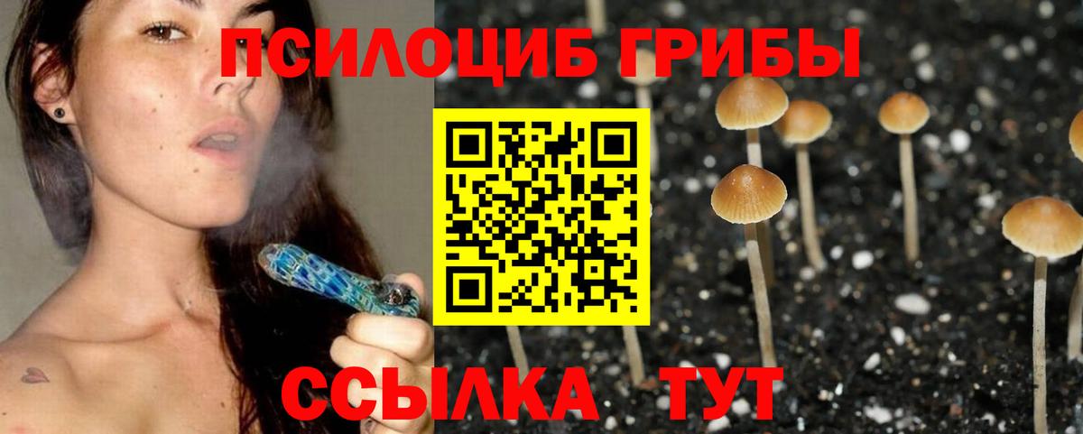 Волжский  наркошоп  Галлюциногенные грибы GOLDEN TEACHER  Вход с VPN  Галлюциногенные грибы ЛСД 
